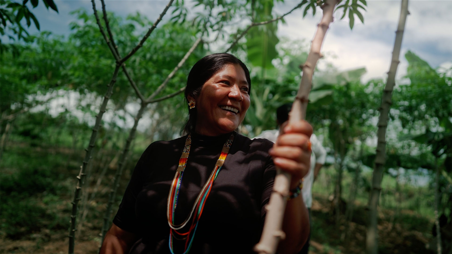 Serie Documental TIERRA - Una producción de Tragaluz Laboratorio Audiovisual para el Fondo Multidonante para el Sostenimiento de la Paz