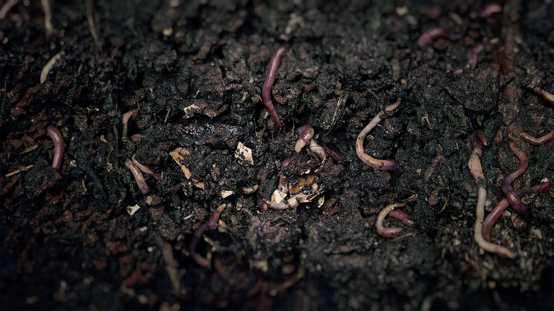 Serie Documental TIERRA - Una producción de Tragaluz Laboratorio Audiovisual para el Fondo Multidonante para el Sostenimiento de la Paz