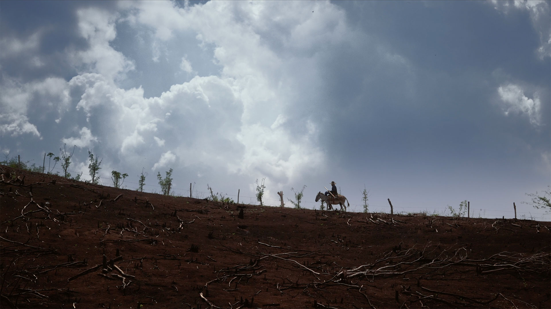 Serie Documental TIERRA - Una producción de Tragaluz Laboratorio Audiovisual para el Fondo Multidonante para el Sostenimiento de la Paz